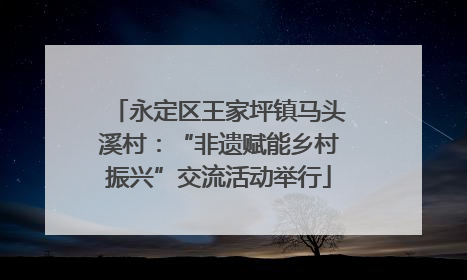 永定区王家坪镇马头溪村：“非遗赋能乡村振兴”交流活动举行