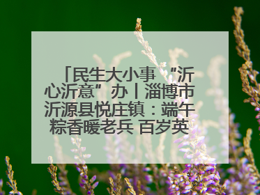 民生大小事 “沂心沂意”办丨淄博市沂源县悦庄镇：端午粽香暖老兵 百岁英雄述峥嵘