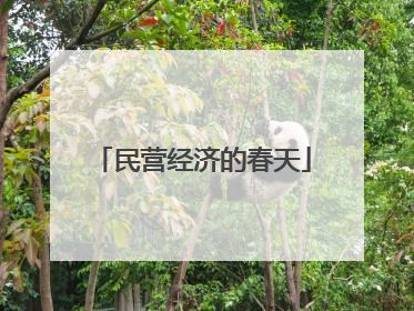 民营经济的春天