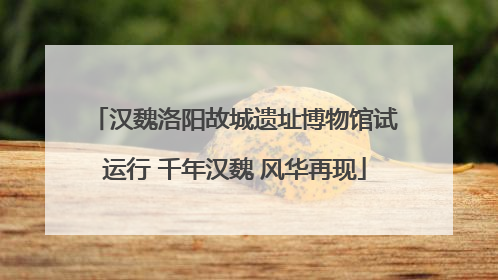 汉魏洛阳故城遗址博物馆试运行 千年汉魏 风华再现