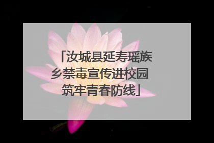 汝城县延寿瑶族乡禁毒宣传进校园 筑牢青春防线