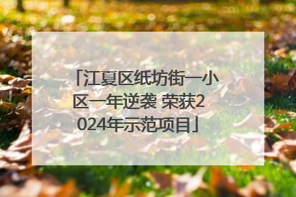 江夏区纸坊街一小区一年逆袭 荣获2024年示范项目