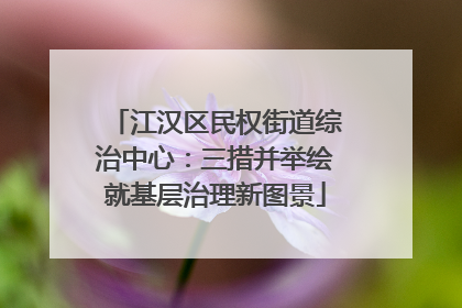 江汉区民权街道综治中心：三措并举绘就基层治理新图景