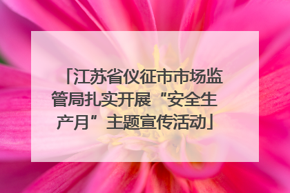 江苏省仪征市市场监管局扎实开展“安全生产月”主题宣传活动