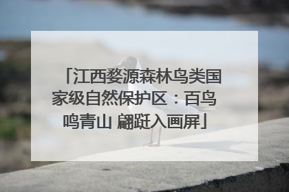 江西婺源森林鸟类国家级自然保护区：百鸟鸣青山 翩跹入画屏
