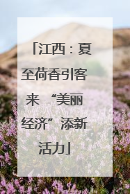 江西：夏至荷香引客来 “美丽经济”添新活力