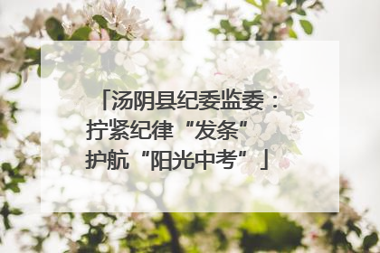 汤阴县纪委监委：拧紧纪律“发条” 护航“阳光中考”