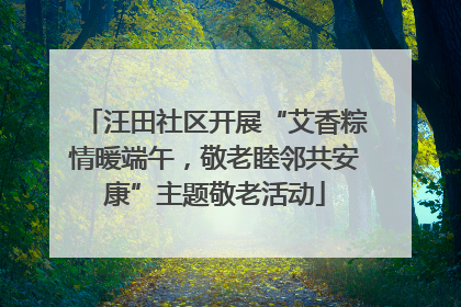 汪田社区开展“艾香粽情暖端午，敬老睦邻共安康”主题敬老活动