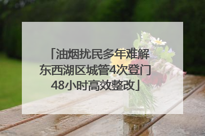 油烟扰民多年难解 东西湖区城管4次登门48小时高效整改