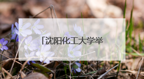 沈阳化工大学举行2025年俄罗斯院士专家辽宁行活动开幕式