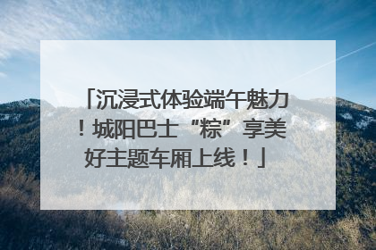 沉浸式体验端午魅力！城阳巴士“粽”享美好主题车厢上线！