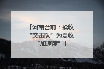 河南台前：抢收“突击队”为夏收“加速度”