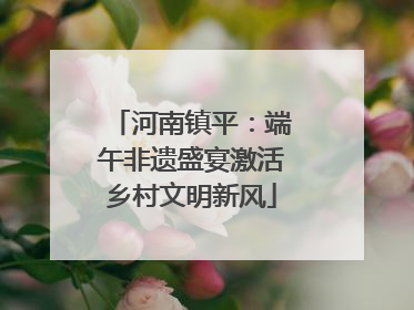 河南镇平：端午非遗盛宴激活乡村文明新风