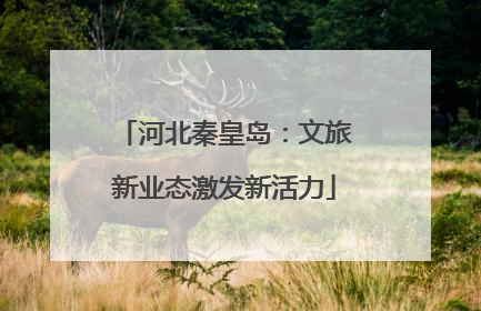 河北秦皇岛：文旅新业态激发新活力