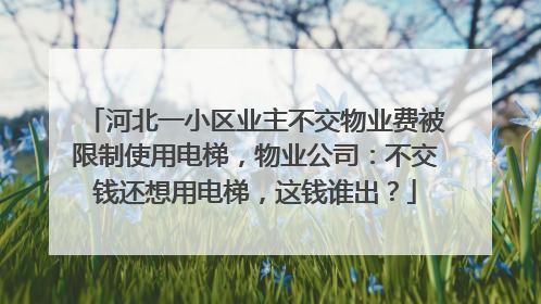 河北一小区业主不交物业费被限制使用电梯，物业公司：不交钱还想用电梯，这钱谁出？