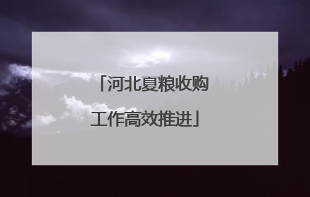 河北夏粮收购工作高效推进