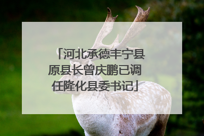 河北承德丰宁县原县长曾庆鹏已调任隆化县委书记