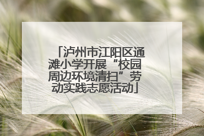 泸州市江阳区通滩小学开展“校园周边环境清扫”劳动实践志愿活动