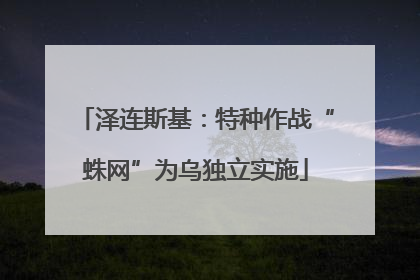 泽连斯基：特种作战“蛛网”为乌独立实施