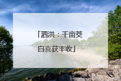 泗洪：千亩茭白喜获丰收