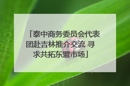 泰中商务委员会代表团赴吉林推介交流 寻求共拓东盟市场