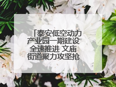 泰安低空动力产业园一期建设全速推进 文庙街道聚力攻坚抢抓“进度条”