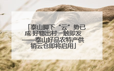 泰山脚下“云”势已成 好物出村一触即发——泰山好品农特产供销云仓即将启用