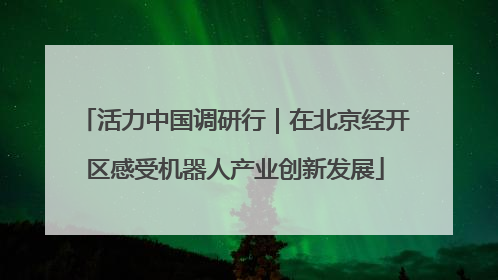 活力中国调研行｜在北京经开区感受机器人产业创新发展