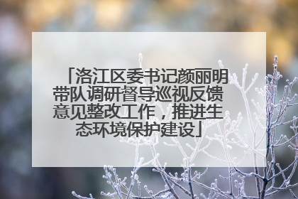 洛江区委书记颜丽明带队调研督导巡视反馈意见整改工作，推进生态环境保护建设