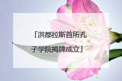 洪都拉斯首所孔子学院揭牌成立
