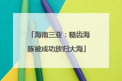 海南三亚：糙齿海豚被成功放归大海