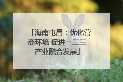 海南屯昌：优化营商环境 促进一二三产业融合发展