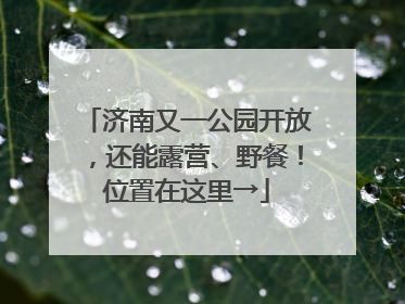 济南又一公园开放，还能露营、野餐！位置在这里→