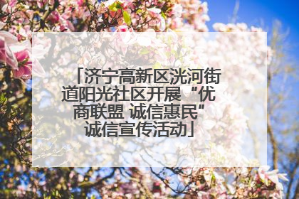 济宁高新区洸河街道阳光社区开展“优商联盟 诚信惠民”诚信宣传活动