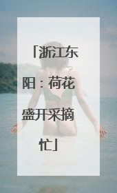 浙江东阳：荷花盛开采摘忙