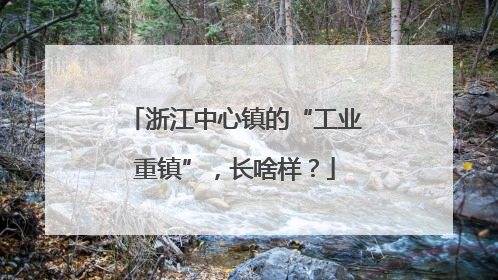 浙江中心镇的“工业重镇”，长啥样？