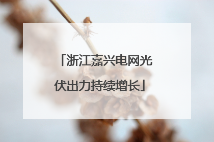 浙江嘉兴电网光伏出力持续增长