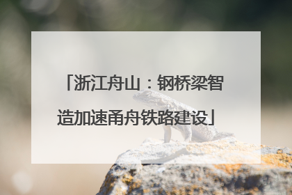 浙江舟山：钢桥梁智造加速甬舟铁路建设