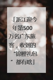 浙江迎今年第500万名广东旅客，收到的“锦鲤礼包”都有啥