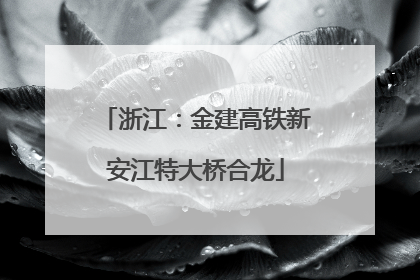 浙江：金建高铁新安江特大桥合龙