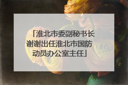 淮北市委副秘书长谢谢出任淮北市国防动员办公室主任