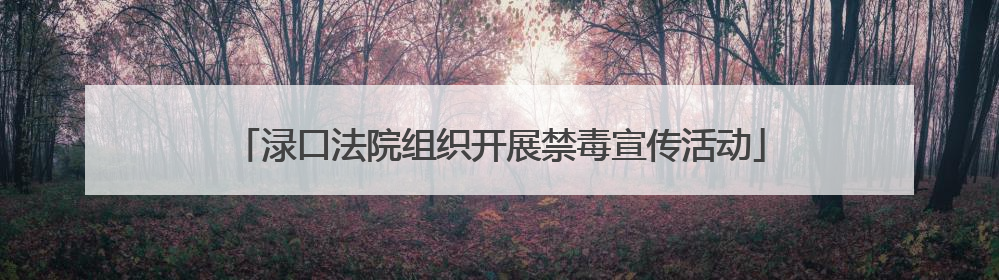 渌口法院组织开展禁毒宣传活动