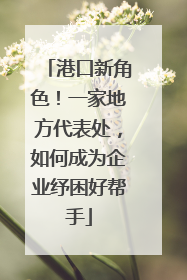 港口新角色！一家地方代表处，如何成为企业纾困好帮手