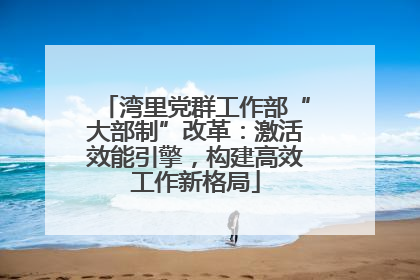 湾里党群工作部“大部制”改革：激活效能引擎，构建高效工作新格局