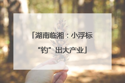 湖南临湘：小浮标“钓”出大产业