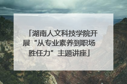 湖南人文科技学院开展“从专业素养到职场胜任力”主题讲座