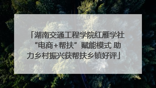 湖南交通工程学院红雁学社“电商+帮扶”赋能模式 助力乡村振兴获帮扶乡镇好评