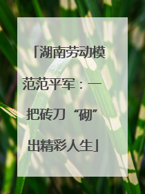 湖南劳动模范范平军：一把砖刀“砌”出精彩人生