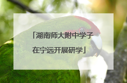 湖南师大附中学子在宁远开展研学