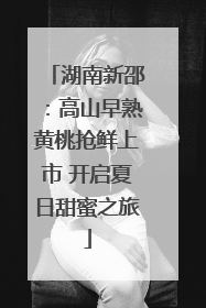 湖南新邵：高山早熟黄桃抢鲜上市 开启夏日甜蜜之旅